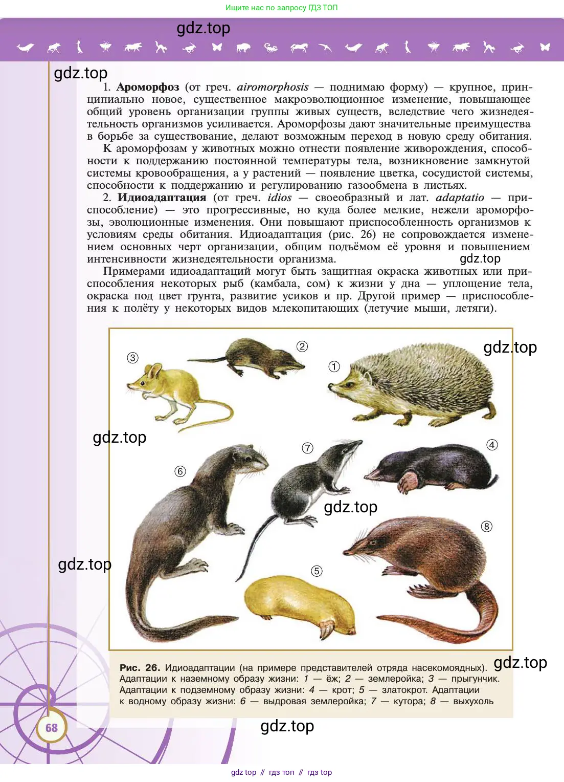 Биология, 11 класс Учебник, авторы: Пасечник Владимир Васильевич, Каменский Андрей Александрович, Рубцов Александр Михайлович, Швецов Глеб Геннадьевич, Абовян Леван Арташесович, Гапонюк Зоя Георгиевна, издательство Просвещение, Москва, 2019, страница 68