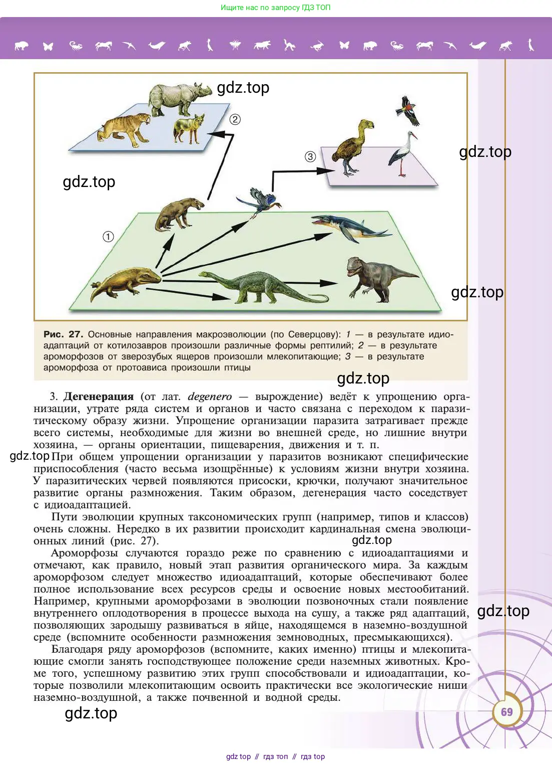 Биология, 11 класс Учебник, авторы: Пасечник Владимир Васильевич, Каменский Андрей Александрович, Рубцов Александр Михайлович, Швецов Глеб Геннадьевич, Абовян Леван Арташесович, Гапонюк Зоя Георгиевна, издательство Просвещение, Москва, 2019, страница 69