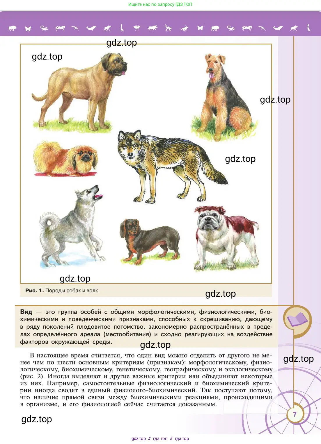 Биология, 11 класс Учебник, авторы: Пасечник Владимир Васильевич, Каменский Андрей Александрович, Рубцов Александр Михайлович, Швецов Глеб Геннадьевич, Абовян Леван Арташесович, Гапонюк Зоя Георгиевна, издательство Просвещение, Москва, 2019, страница 7