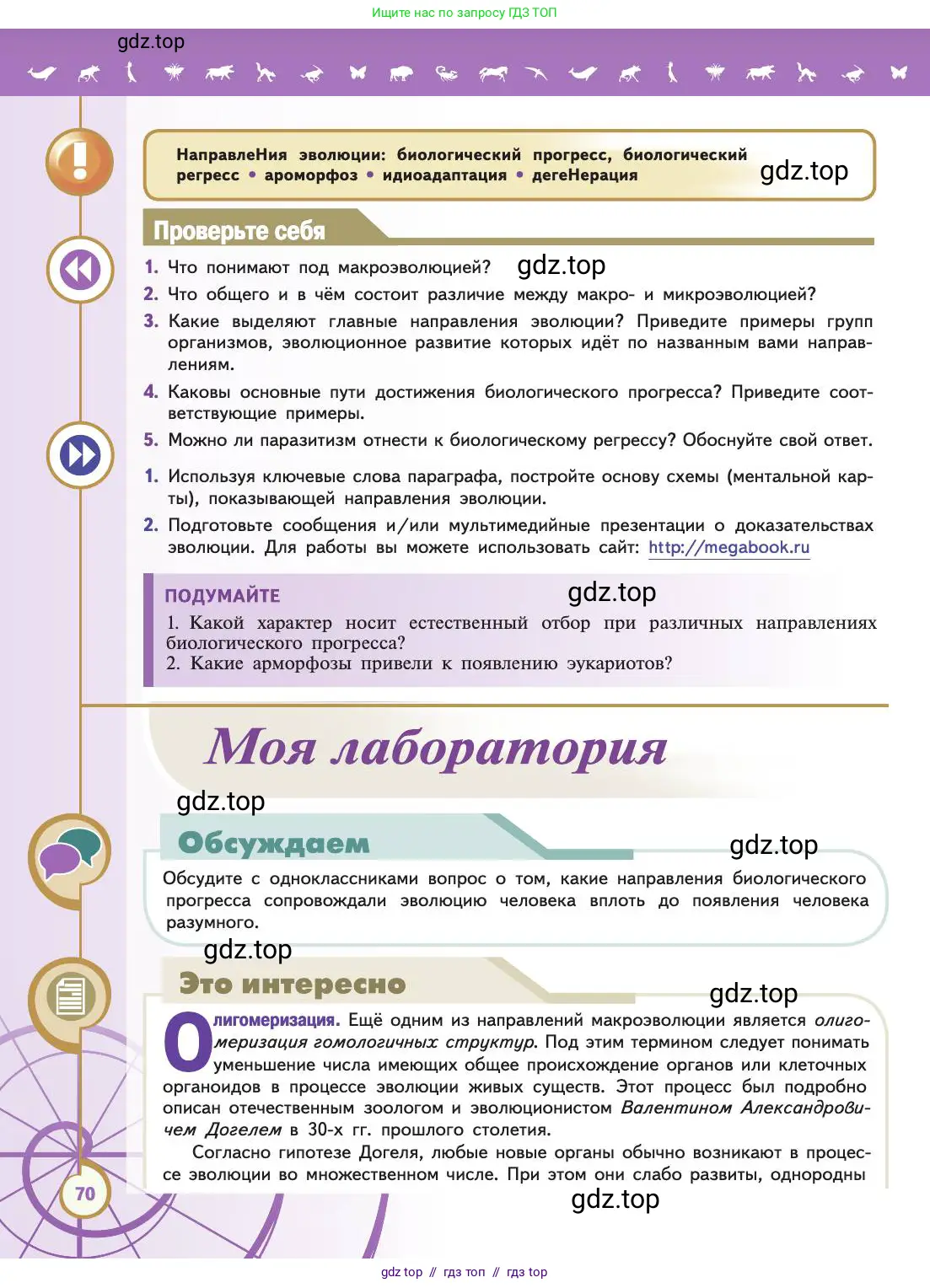 Биология, 11 класс Учебник, авторы: Пасечник Владимир Васильевич, Каменский Андрей Александрович, Рубцов Александр Михайлович, Швецов Глеб Геннадьевич, Абовян Леван Арташесович, Гапонюк Зоя Георгиевна, издательство Просвещение, Москва, 2019, страница 70