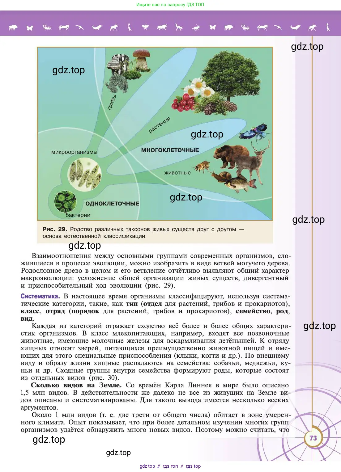 Биология, 11 класс Учебник, авторы: Пасечник Владимир Васильевич, Каменский Андрей Александрович, Рубцов Александр Михайлович, Швецов Глеб Геннадьевич, Абовян Леван Арташесович, Гапонюк Зоя Георгиевна, издательство Просвещение, Москва, 2019, страница 73