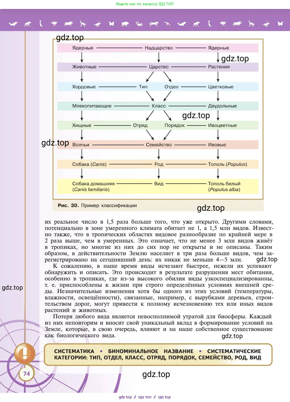 Биология, 11 класс Учебник, авторы: Пасечник Владимир Васильевич, Каменский Андрей Александрович, Рубцов Александр Михайлович, Швецов Глеб Геннадьевич, Абовян Леван Арташесович, Гапонюк Зоя Георгиевна, издательство Просвещение, Москва, 2019, страница 74