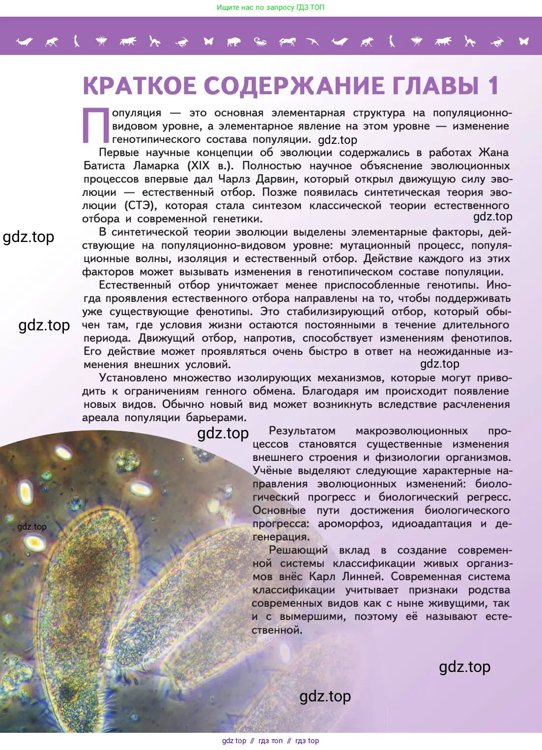 Биология, 11 класс Учебник, авторы: Пасечник Владимир Васильевич, Каменский Андрей Александрович, Рубцов Александр Михайлович, Швецов Глеб Геннадьевич, Абовян Леван Арташесович, Гапонюк Зоя Георгиевна, издательство Просвещение, Москва, 2019, страница 78