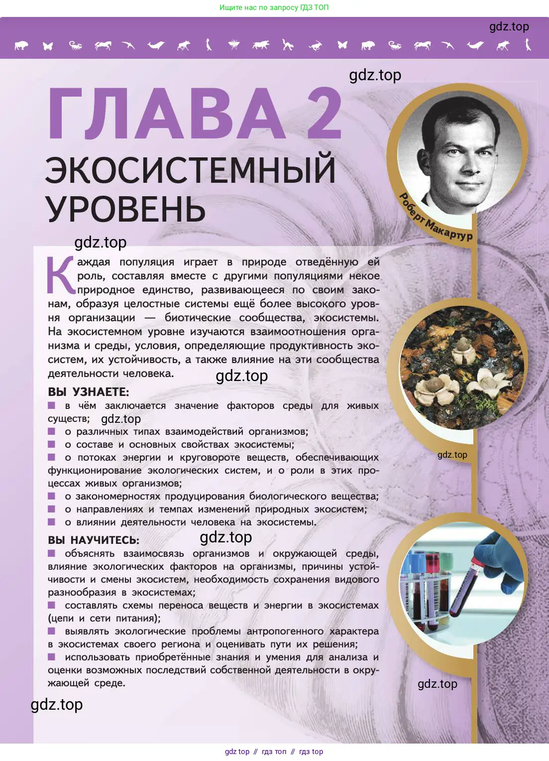 Биология, 11 класс Учебник, авторы: Пасечник Владимир Васильевич, Каменский Андрей Александрович, Рубцов Александр Михайлович, Швецов Глеб Геннадьевич, Абовян Леван Арташесович, Гапонюк Зоя Георгиевна, издательство Просвещение, Москва, 2019, страница 79