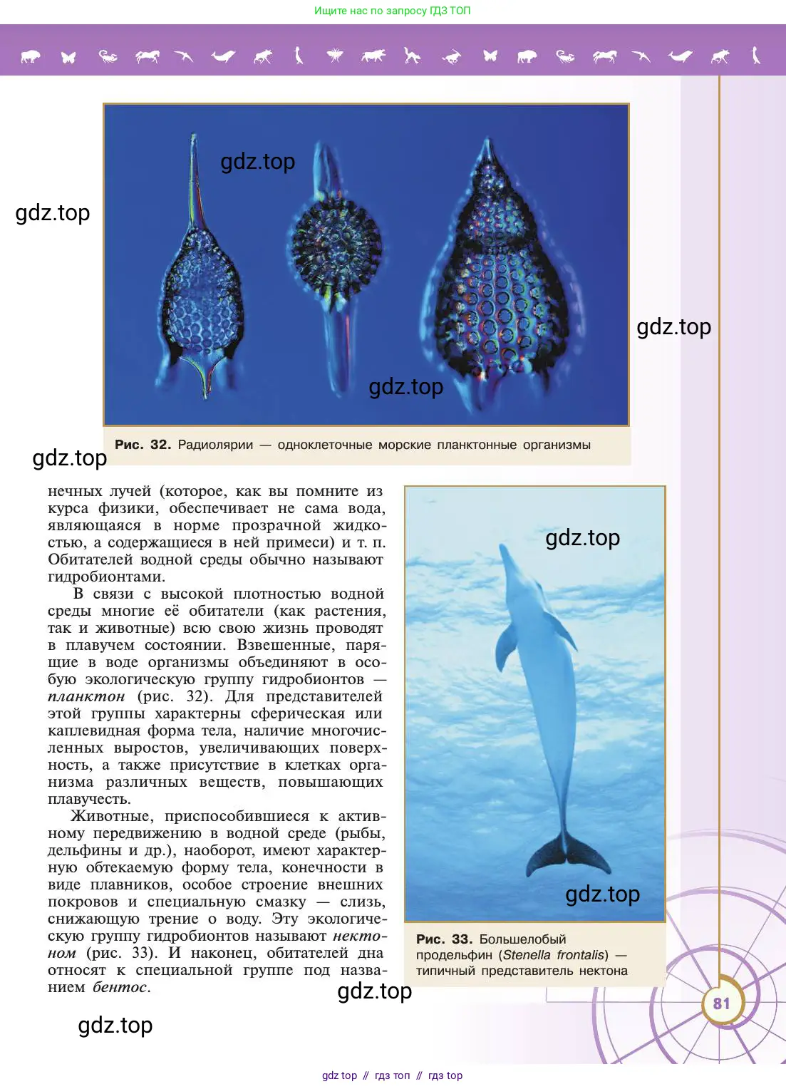 Биология, 11 класс Учебник, авторы: Пасечник Владимир Васильевич, Каменский Андрей Александрович, Рубцов Александр Михайлович, Швецов Глеб Геннадьевич, Абовян Леван Арташесович, Гапонюк Зоя Георгиевна, издательство Просвещение, Москва, 2019, страница 81