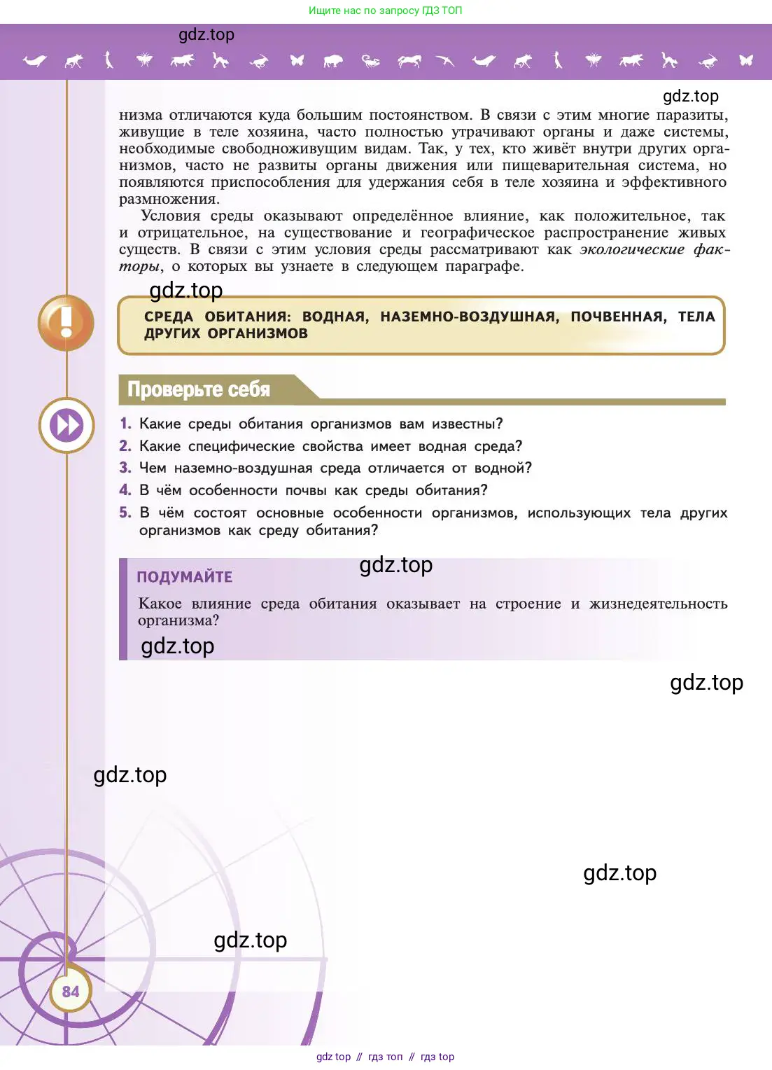 Биология, 11 класс Учебник, авторы: Пасечник Владимир Васильевич, Каменский Андрей Александрович, Рубцов Александр Михайлович, Швецов Глеб Геннадьевич, Абовян Леван Арташесович, Гапонюк Зоя Георгиевна, издательство Просвещение, Москва, 2019, страница 84