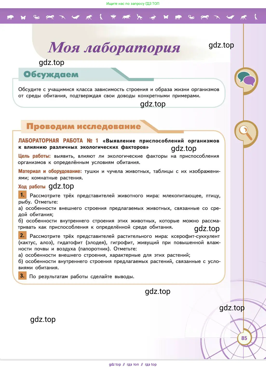 Биология, 11 класс Учебник, авторы: Пасечник Владимир Васильевич, Каменский Андрей Александрович, Рубцов Александр Михайлович, Швецов Глеб Геннадьевич, Абовян Леван Арташесович, Гапонюк Зоя Георгиевна, издательство Просвещение, Москва, 2019, страница 85