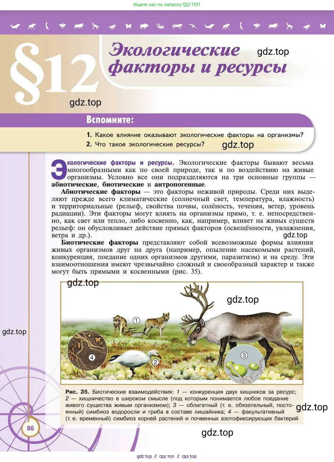 Биология, 11 класс Учебник, авторы: Пасечник Владимир Васильевич, Каменский Андрей Александрович, Рубцов Александр Михайлович, Швецов Глеб Геннадьевич, Абовян Леван Арташесович, Гапонюк Зоя Георгиевна, издательство Просвещение, Москва, 2019, страница 86