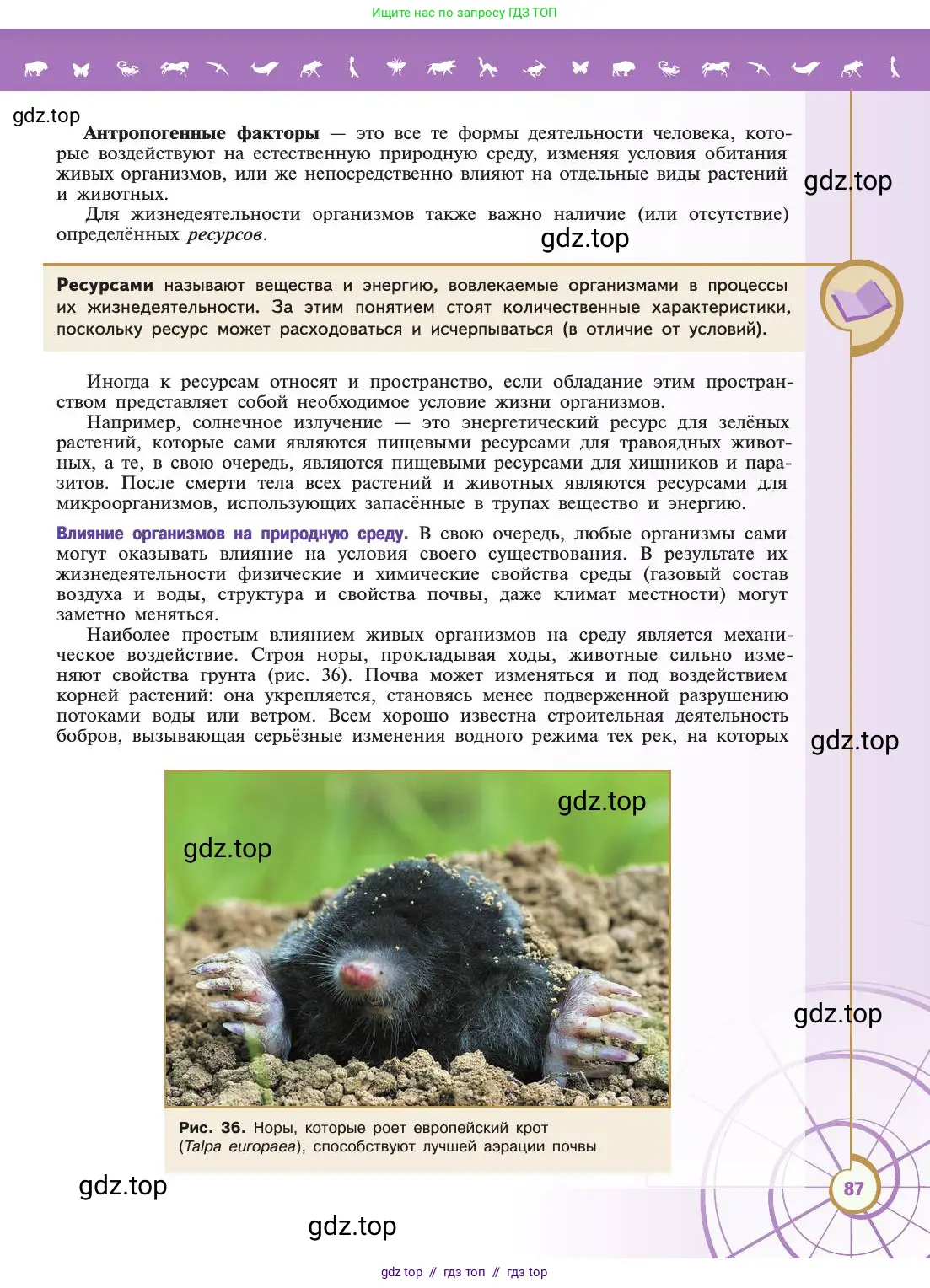 Биология, 11 класс Учебник, авторы: Пасечник Владимир Васильевич, Каменский Андрей Александрович, Рубцов Александр Михайлович, Швецов Глеб Геннадьевич, Абовян Леван Арташесович, Гапонюк Зоя Георгиевна, издательство Просвещение, Москва, 2019, страница 87