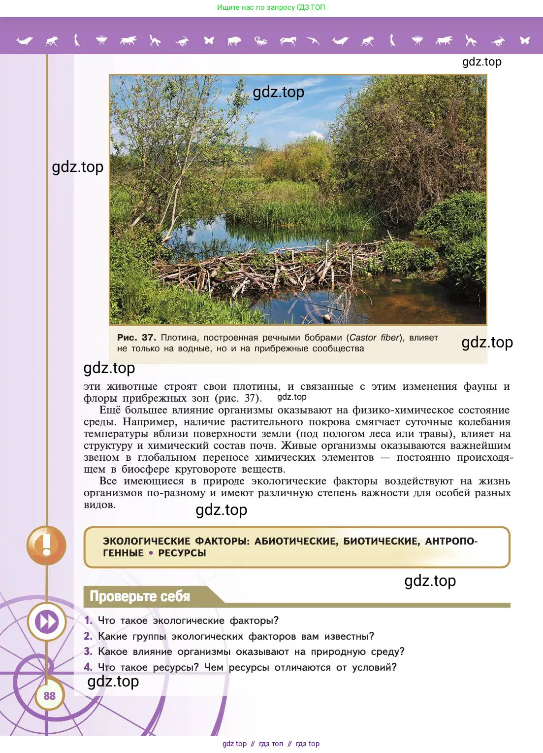 Биология, 11 класс Учебник, авторы: Пасечник Владимир Васильевич, Каменский Андрей Александрович, Рубцов Александр Михайлович, Швецов Глеб Геннадьевич, Абовян Леван Арташесович, Гапонюк Зоя Георгиевна, издательство Просвещение, Москва, 2019, страница 88