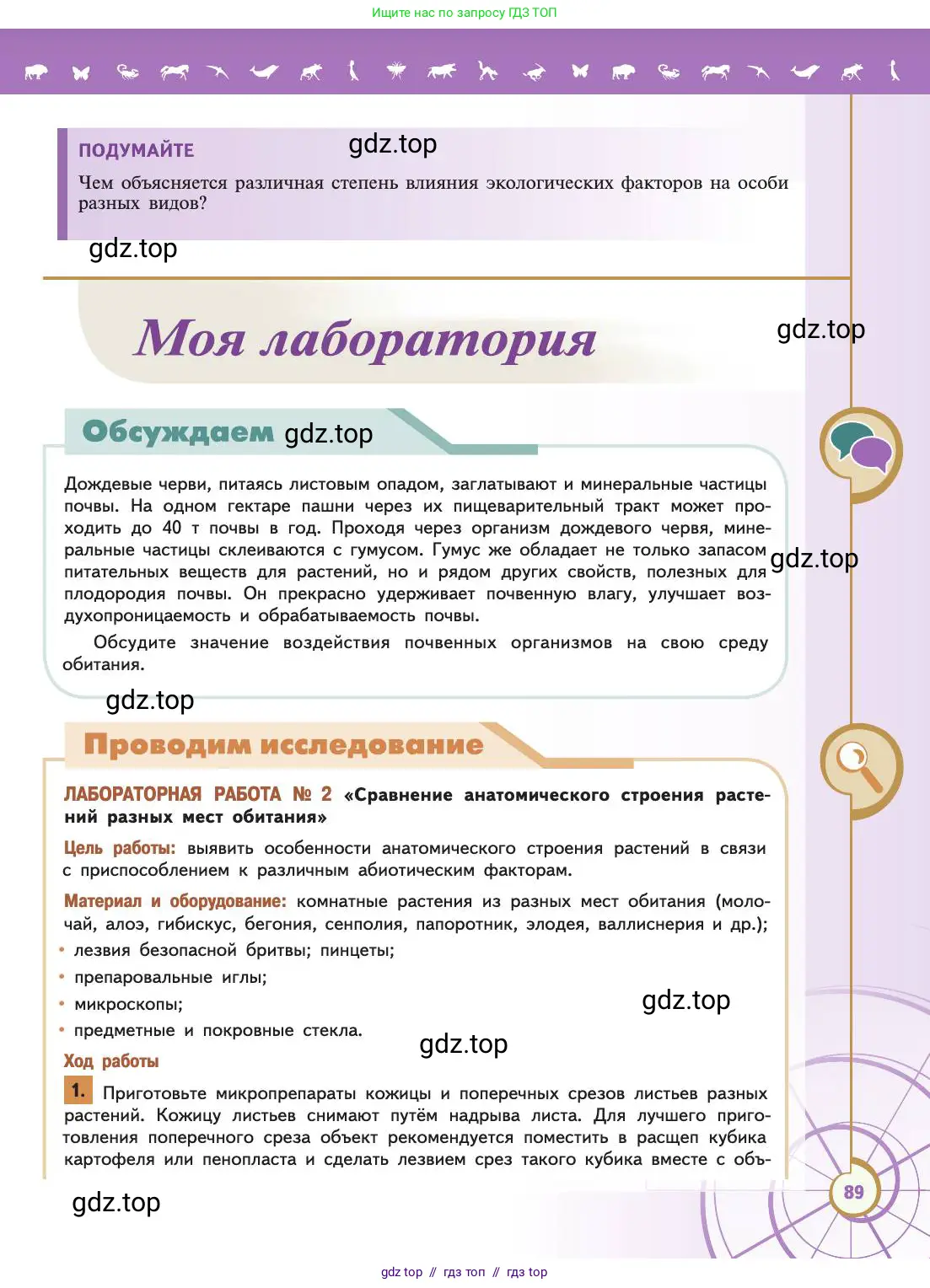 Биология, 11 класс Учебник, авторы: Пасечник Владимир Васильевич, Каменский Андрей Александрович, Рубцов Александр Михайлович, Швецов Глеб Геннадьевич, Абовян Леван Арташесович, Гапонюк Зоя Георгиевна, издательство Просвещение, Москва, 2019, страница 89