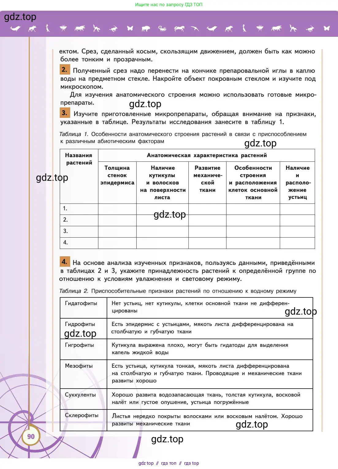 Биология, 11 класс Учебник, авторы: Пасечник Владимир Васильевич, Каменский Андрей Александрович, Рубцов Александр Михайлович, Швецов Глеб Геннадьевич, Абовян Леван Арташесович, Гапонюк Зоя Георгиевна, издательство Просвещение, Москва, 2019, страница 90