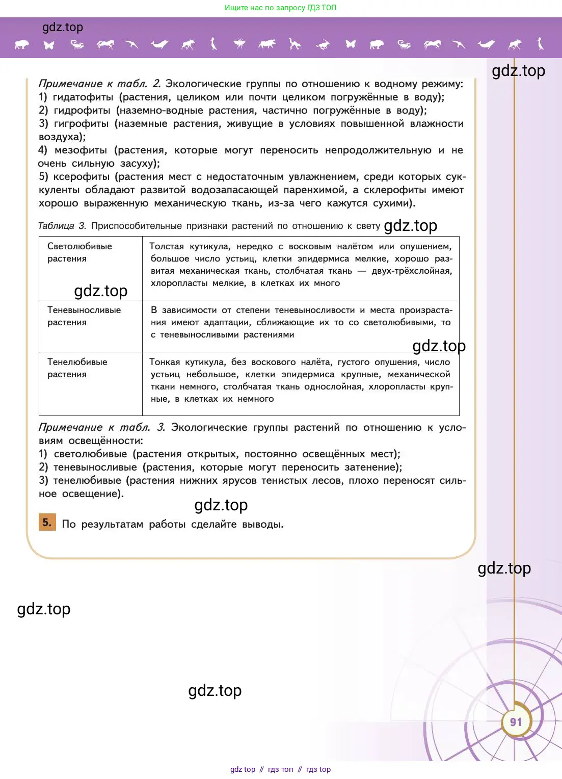 Биология, 11 класс Учебник, авторы: Пасечник Владимир Васильевич, Каменский Андрей Александрович, Рубцов Александр Михайлович, Швецов Глеб Геннадьевич, Абовян Леван Арташесович, Гапонюк Зоя Георгиевна, издательство Просвещение, Москва, 2019, страница 91