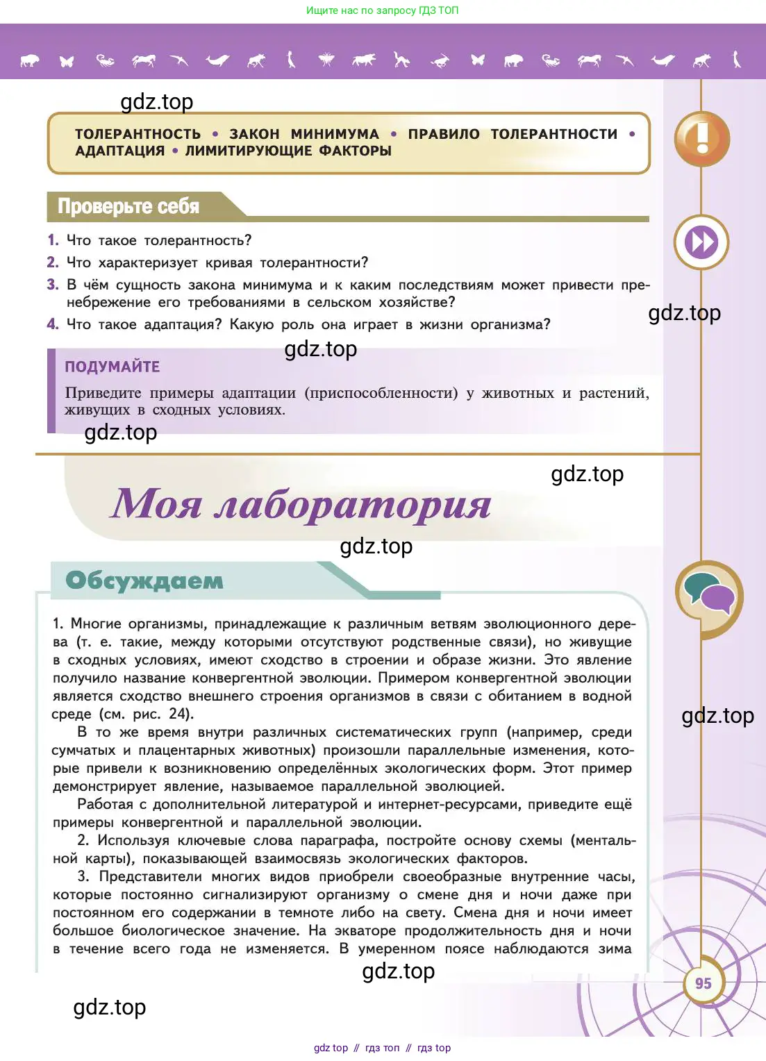 Биология, 11 класс Учебник, авторы: Пасечник Владимир Васильевич, Каменский Андрей Александрович, Рубцов Александр Михайлович, Швецов Глеб Геннадьевич, Абовян Леван Арташесович, Гапонюк Зоя Георгиевна, издательство Просвещение, Москва, 2019, страница 95