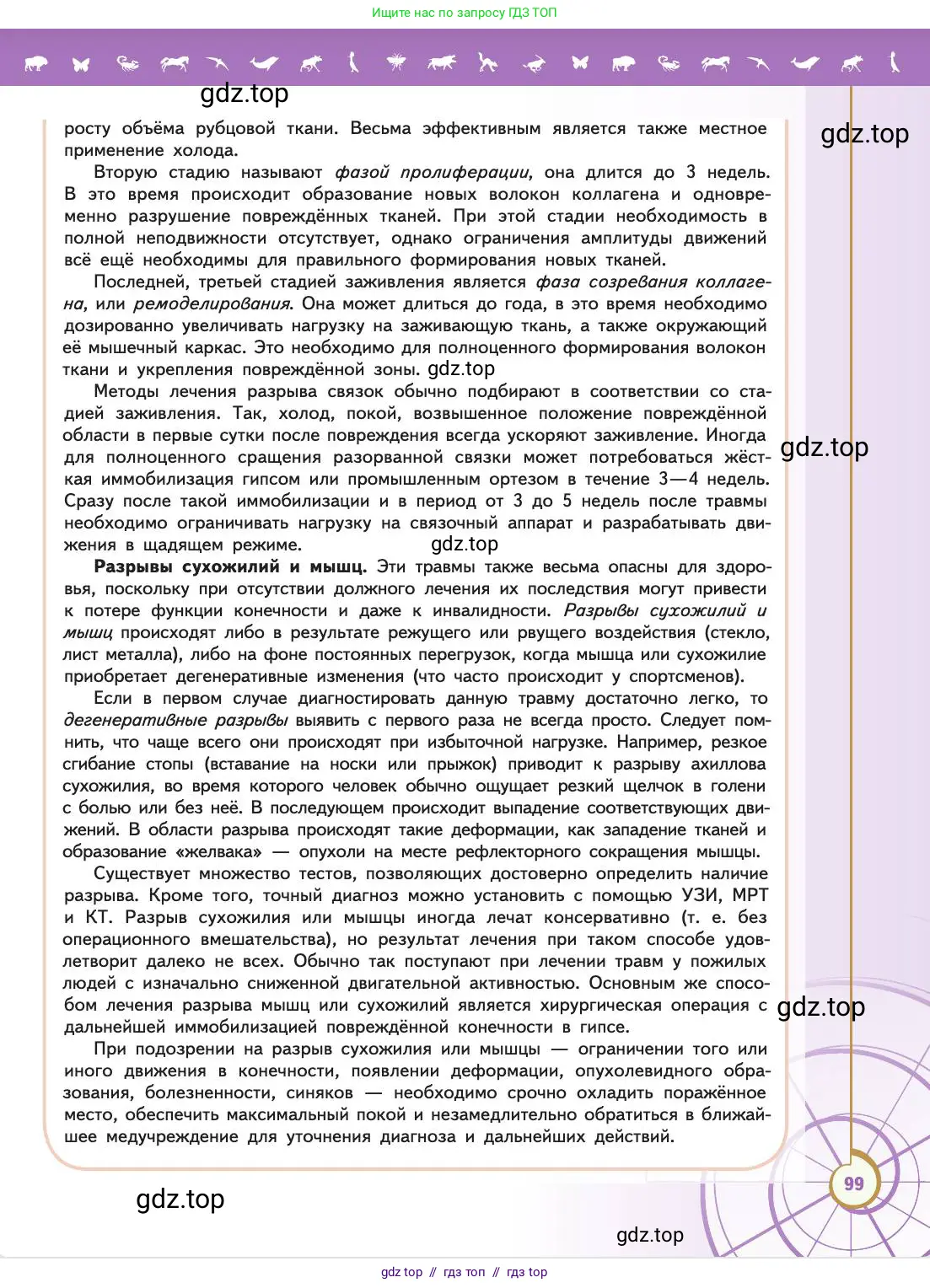 Биология, 11 класс Учебник, авторы: Пасечник Владимир Васильевич, Каменский Андрей Александрович, Рубцов Александр Михайлович, Швецов Глеб Геннадьевич, Абовян Леван Арташесович, Гапонюк Зоя Георгиевна, издательство Просвещение, Москва, 2019, страница 99