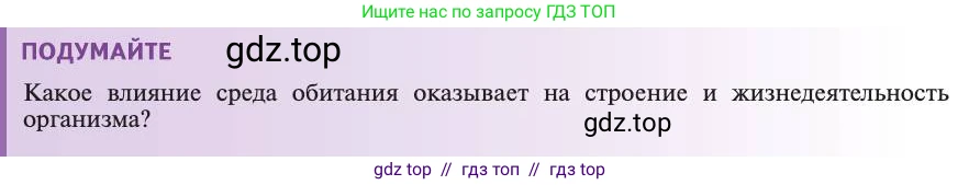 Биология, 11 класс Учебник, авторы: Пасечник Владимир Васильевич, Каменский Андрей Александрович, Рубцов Александр Михайлович, Швецов Глеб Геннадьевич, Абовян Леван Арташесович, Гапонюк Зоя Георгиевна, издательство Просвещение, Москва, 2019, страница 84, Условие