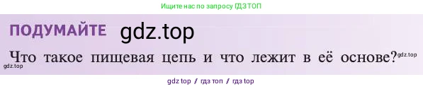 Биология, 11 класс Учебник, авторы: Пасечник Владимир Васильевич, Каменский Андрей Александрович, Рубцов Александр Михайлович, Швецов Глеб Геннадьевич, Абовян Леван Арташесович, Гапонюк Зоя Георгиевна, издательство Просвещение, Москва, 2019, страница 169, Условие