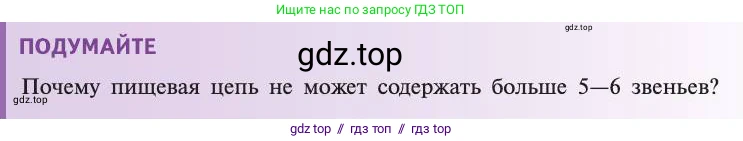 Биология, 11 класс Учебник, авторы: Пасечник Владимир Васильевич, Каменский Андрей Александрович, Рубцов Александр Михайлович, Швецов Глеб Геннадьевич, Абовян Леван Арташесович, Гапонюк Зоя Георгиевна, издательство Просвещение, Москва, 2019, страница 174, Условие