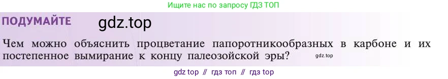 Биология, 11 класс Учебник, авторы: Пасечник Владимир Васильевич, Каменский Андрей Александрович, Рубцов Александр Михайлович, Швецов Глеб Геннадьевич, Абовян Леван Арташесович, Гапонюк Зоя Георгиевна, издательство Просвещение, Москва, 2019, страница 262, Условие