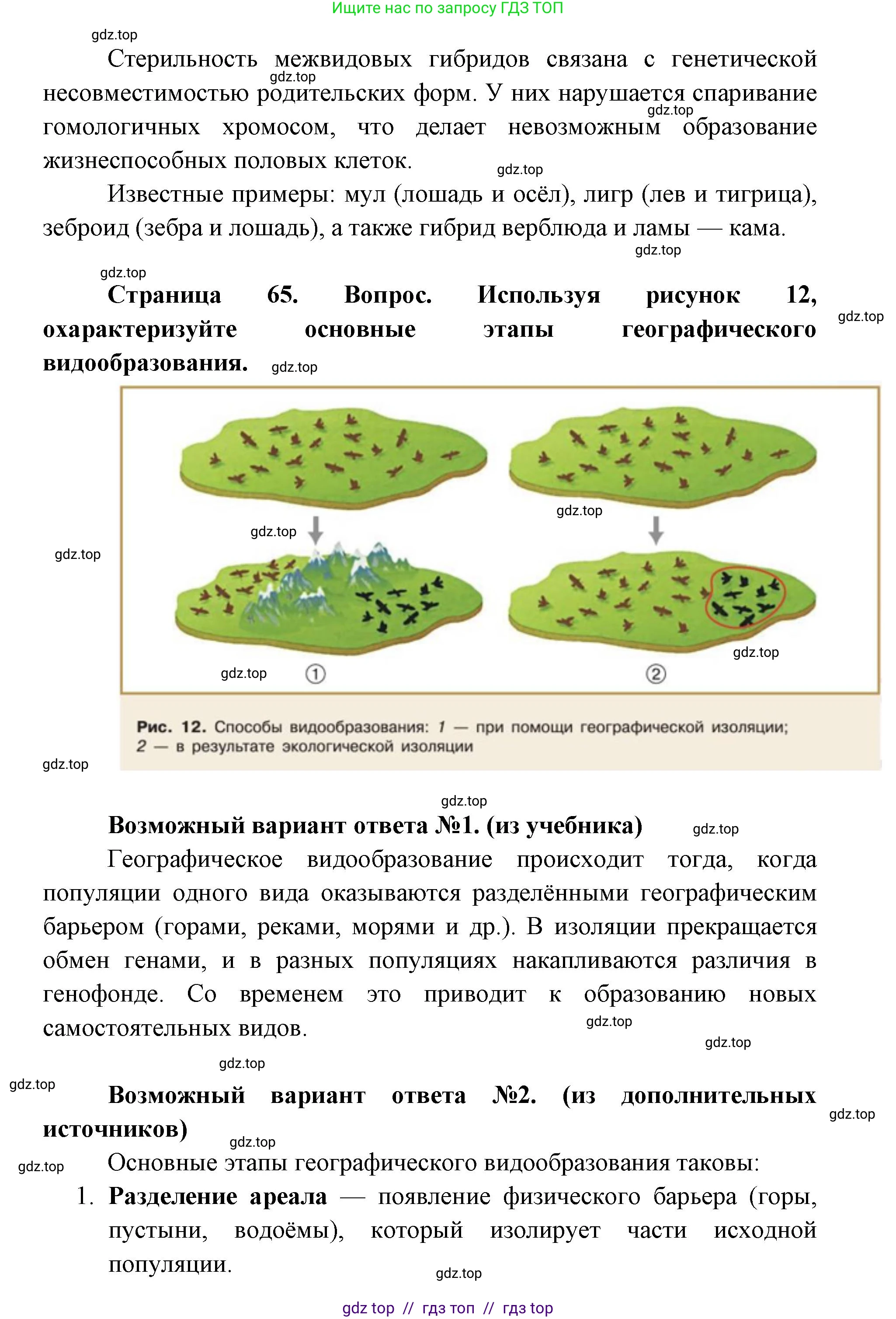 Биология, 11 класс Учебник, авторы: Пасечник Владимир Васильевич, Каменский Андрей Александрович, Рубцов Александр Михайлович, Швецов Глеб Геннадьевич, Абовян Леван Арташесович, Гапонюк Зоя Георгиевна, издательство Просвещение, Москва, 2019, страница 65, номер 4, Решение (продолжение 2)