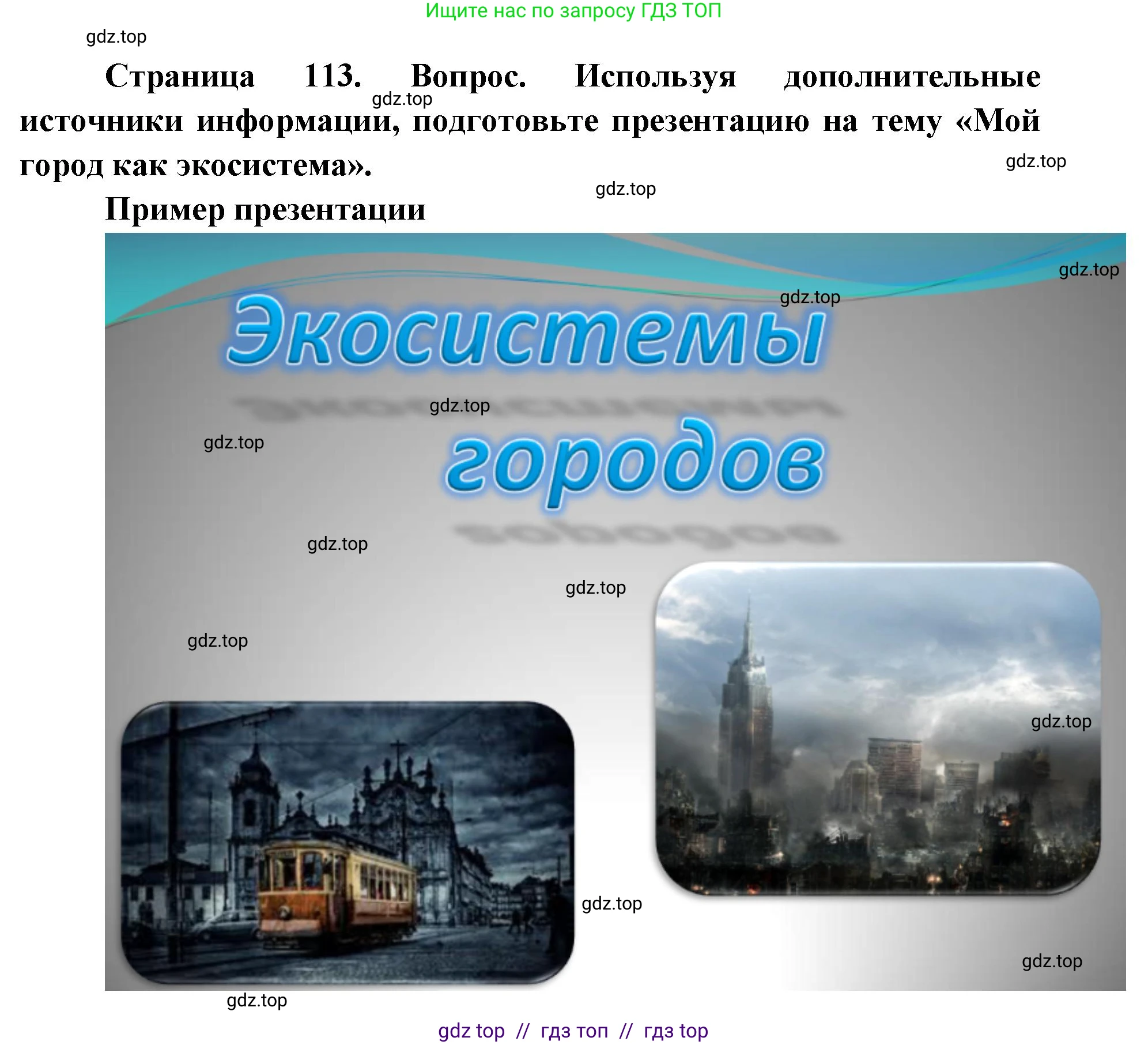 Биология, 11 класс Учебник, авторы: Пасечник Владимир Васильевич, Каменский Андрей Александрович, Рубцов Александр Михайлович, Швецов Глеб Геннадьевич, Абовян Леван Арташесович, Гапонюк Зоя Георгиевна, издательство Просвещение, Москва, 2019, страница 113, номер 4, Решение (продолжение 2)