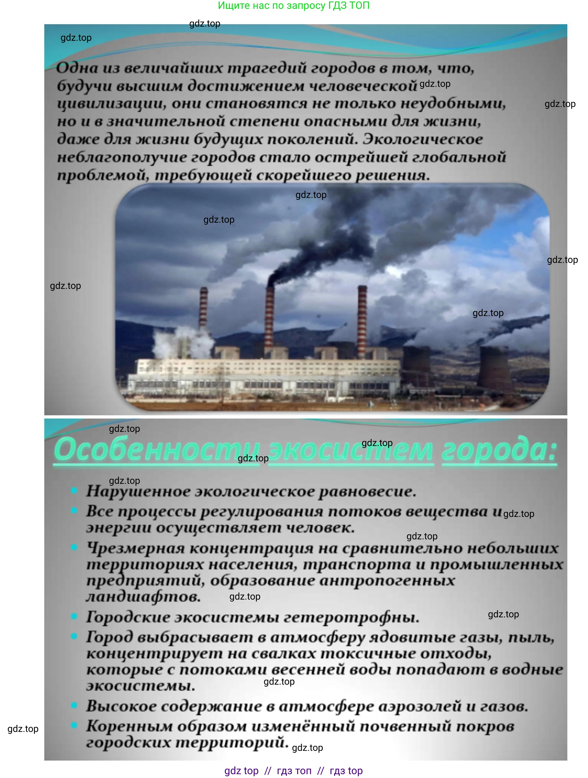 Биология, 11 класс Учебник, авторы: Пасечник Владимир Васильевич, Каменский Андрей Александрович, Рубцов Александр Михайлович, Швецов Глеб Геннадьевич, Абовян Леван Арташесович, Гапонюк Зоя Георгиевна, издательство Просвещение, Москва, 2019, страница 113, номер 4, Решение (продолжение 3)
