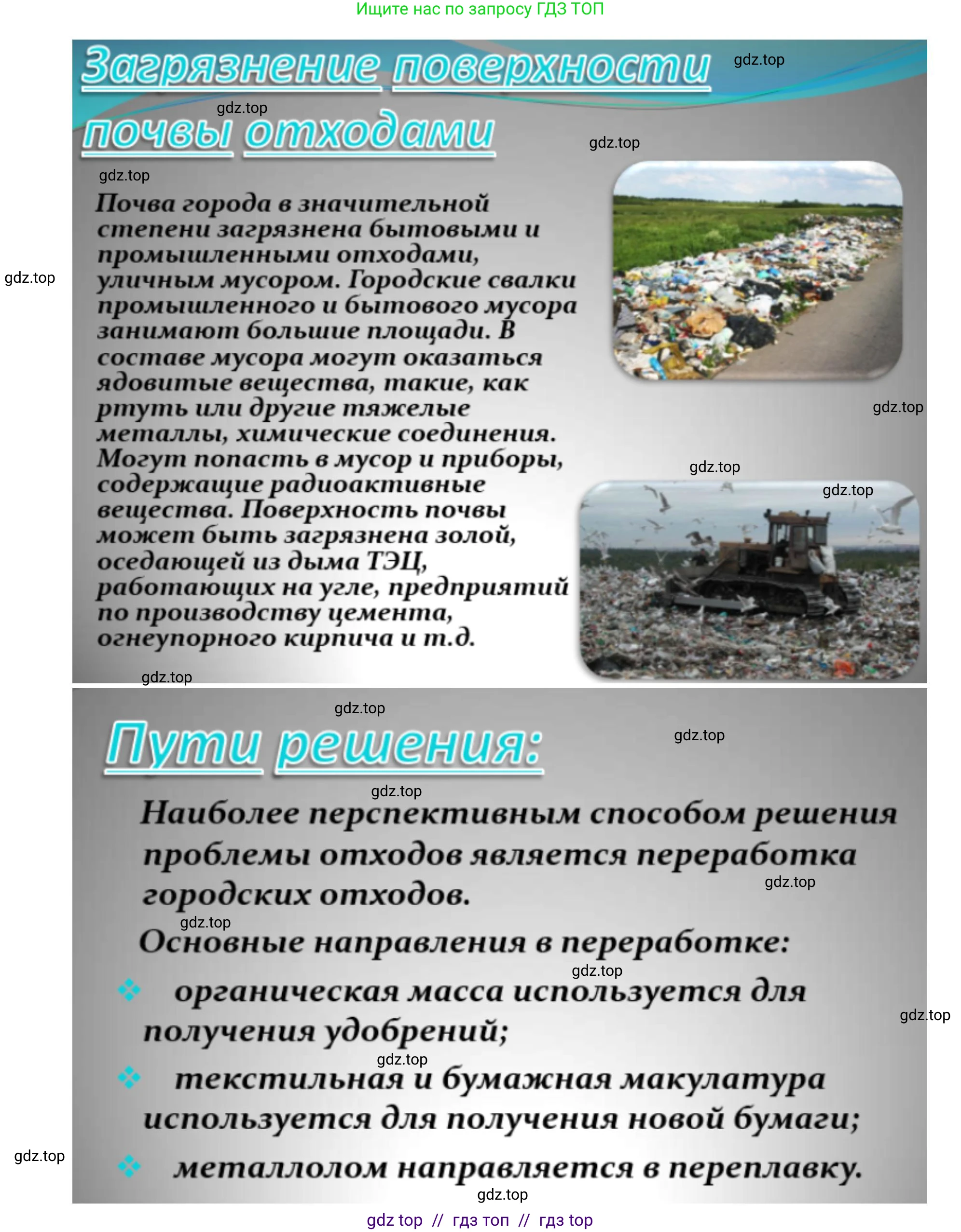 Биология, 11 класс Учебник, авторы: Пасечник Владимир Васильевич, Каменский Андрей Александрович, Рубцов Александр Михайлович, Швецов Глеб Геннадьевич, Абовян Леван Арташесович, Гапонюк Зоя Георгиевна, издательство Просвещение, Москва, 2019, страница 113, номер 4, Решение (продолжение 6)