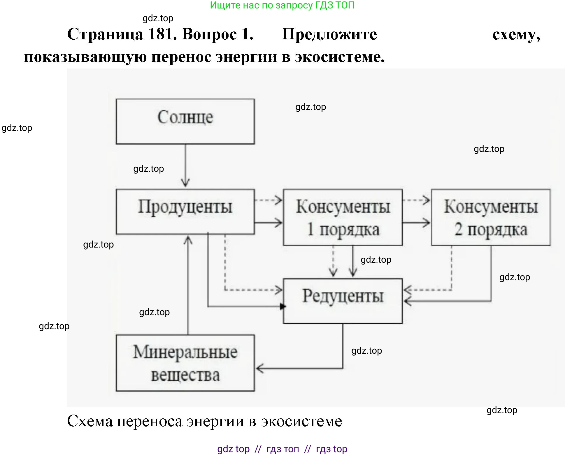 Биология, 11 класс Учебник, авторы: Пасечник Владимир Васильевич, Каменский Андрей Александрович, Рубцов Александр Михайлович, Швецов Глеб Геннадьевич, Абовян Леван Арташесович, Гапонюк Зоя Георгиевна, издательство Просвещение, Москва, 2019, страница 181, номер 1, Решение