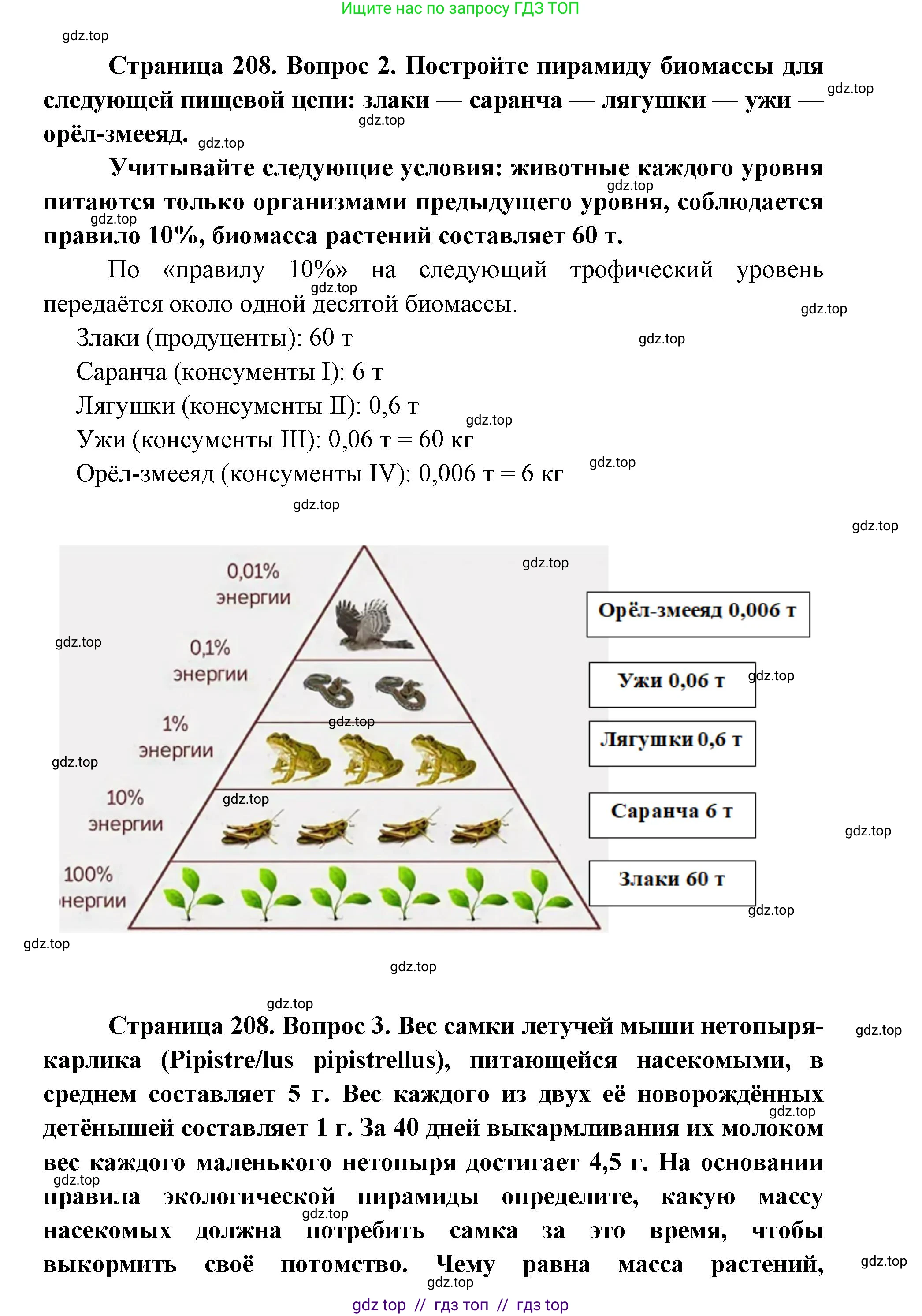 Биология, 11 класс Учебник, авторы: Пасечник Владимир Васильевич, Каменский Андрей Александрович, Рубцов Александр Михайлович, Швецов Глеб Геннадьевич, Абовян Леван Арташесович, Гапонюк Зоя Георгиевна, издательство Просвещение, Москва, 2019, страница 208, номер 2, Решение (продолжение 2)