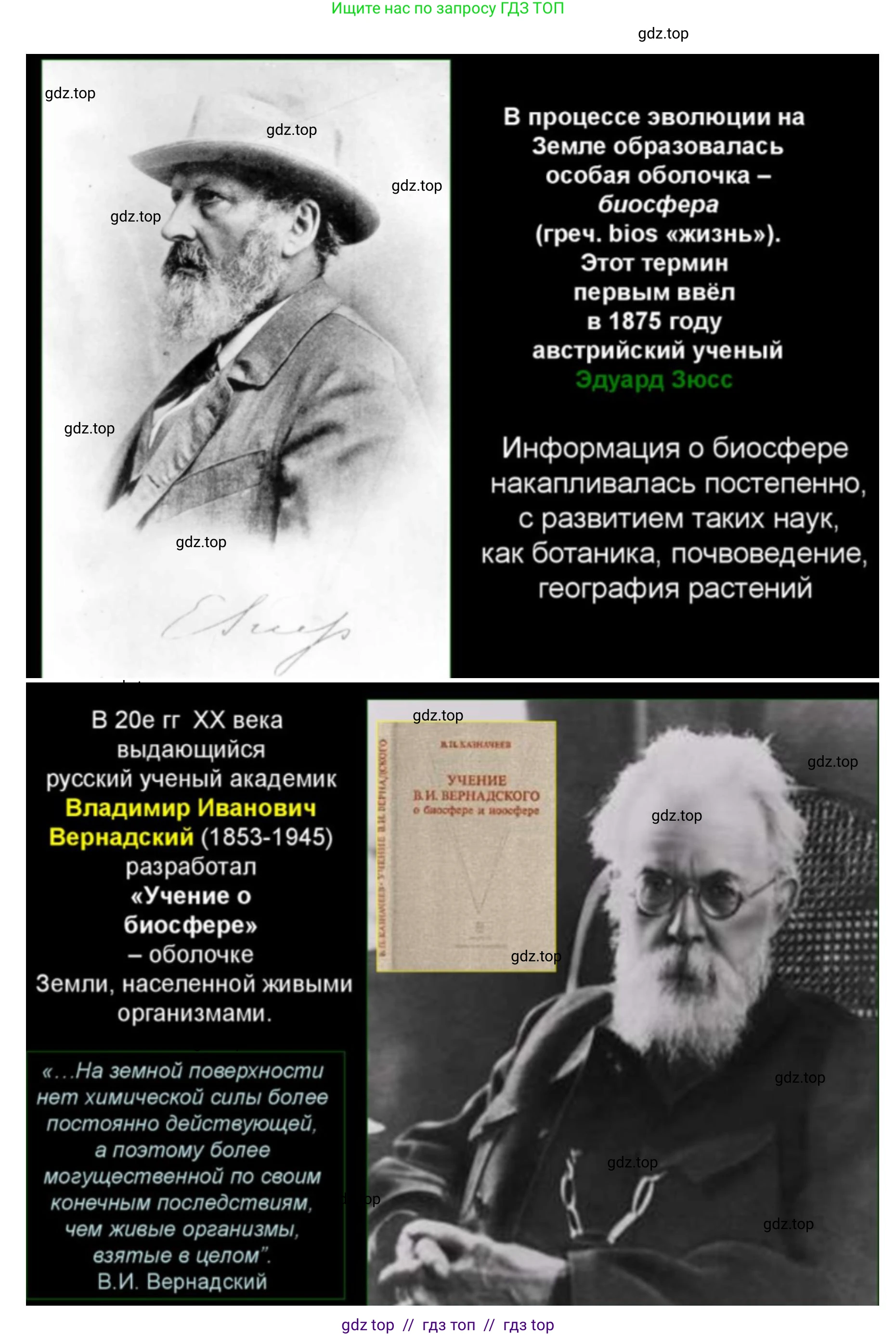 Биология, 11 класс Учебник, авторы: Пасечник Владимир Васильевич, Каменский Андрей Александрович, Рубцов Александр Михайлович, Швецов Глеб Геннадьевич, Абовян Леван Арташесович, Гапонюк Зоя Георгиевна, издательство Просвещение, Москва, 2019, страница 215, номер 4, Решение (продолжение 3)