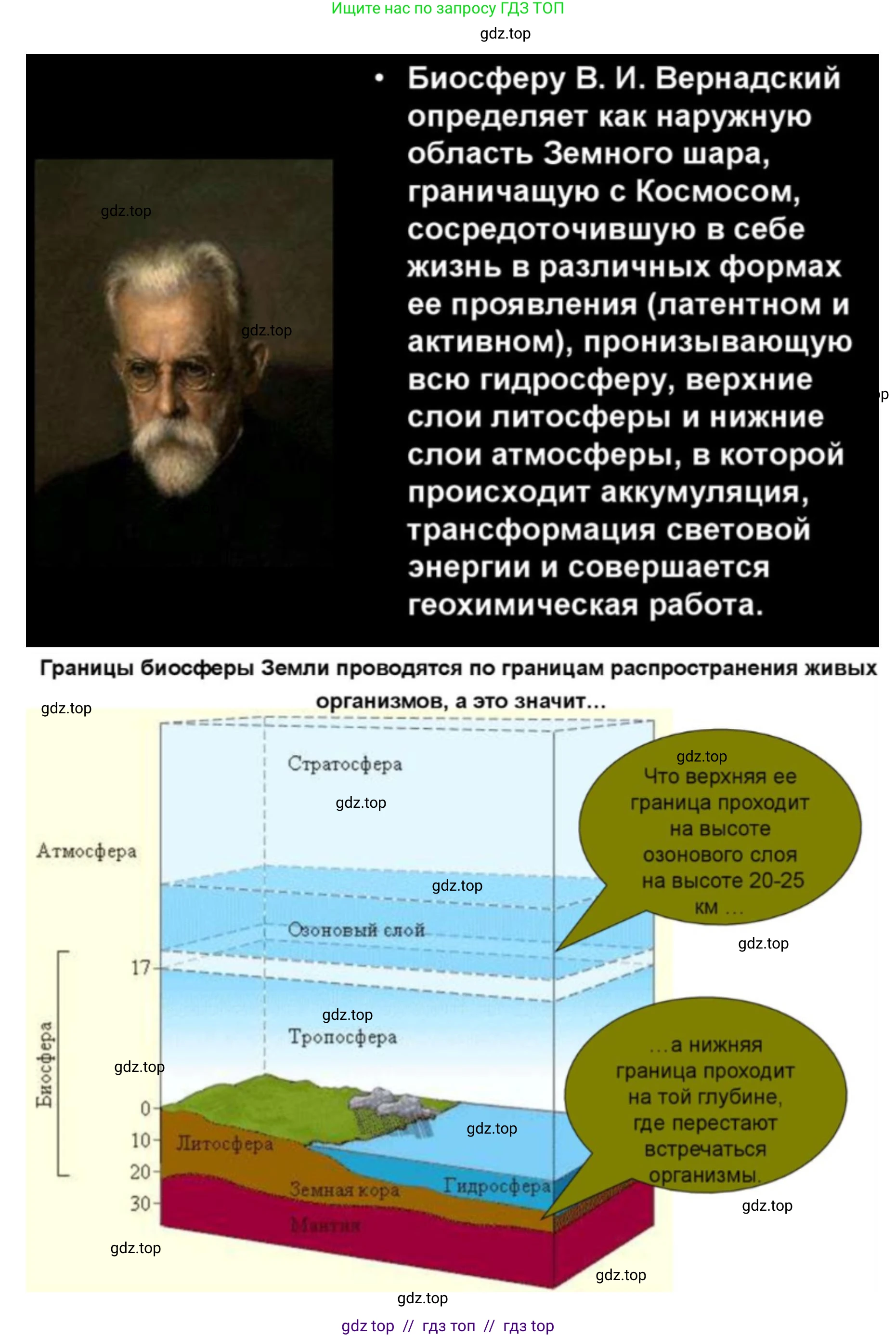 Биология, 11 класс Учебник, авторы: Пасечник Владимир Васильевич, Каменский Андрей Александрович, Рубцов Александр Михайлович, Швецов Глеб Геннадьевич, Абовян Леван Арташесович, Гапонюк Зоя Георгиевна, издательство Просвещение, Москва, 2019, страница 215, номер 4, Решение (продолжение 4)