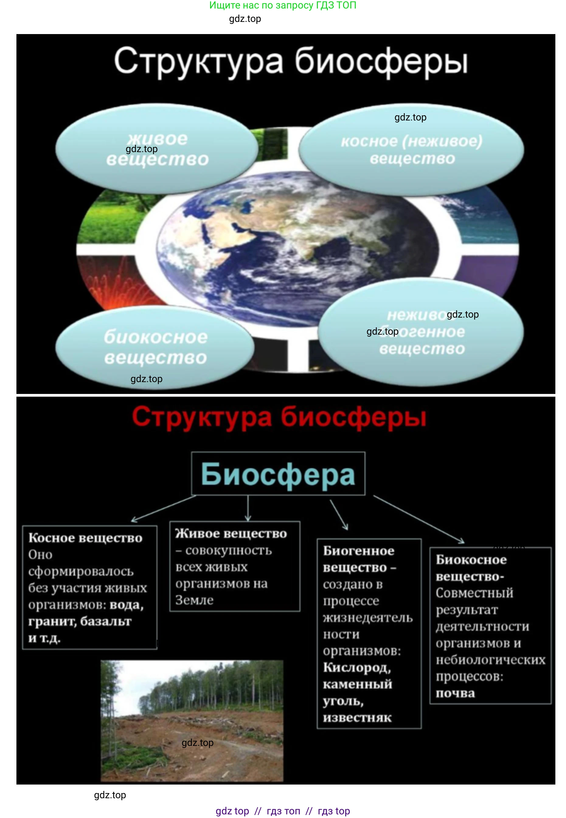 Биология, 11 класс Учебник, авторы: Пасечник Владимир Васильевич, Каменский Андрей Александрович, Рубцов Александр Михайлович, Швецов Глеб Геннадьевич, Абовян Леван Арташесович, Гапонюк Зоя Георгиевна, издательство Просвещение, Москва, 2019, страница 215, номер 4, Решение (продолжение 6)
