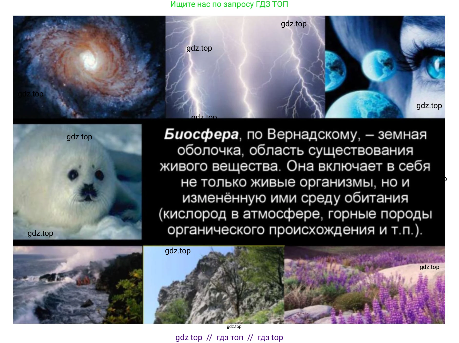 Биология, 11 класс Учебник, авторы: Пасечник Владимир Васильевич, Каменский Андрей Александрович, Рубцов Александр Михайлович, Швецов Глеб Геннадьевич, Абовян Леван Арташесович, Гапонюк Зоя Георгиевна, издательство Просвещение, Москва, 2019, страница 215, номер 4, Решение (продолжение 7)