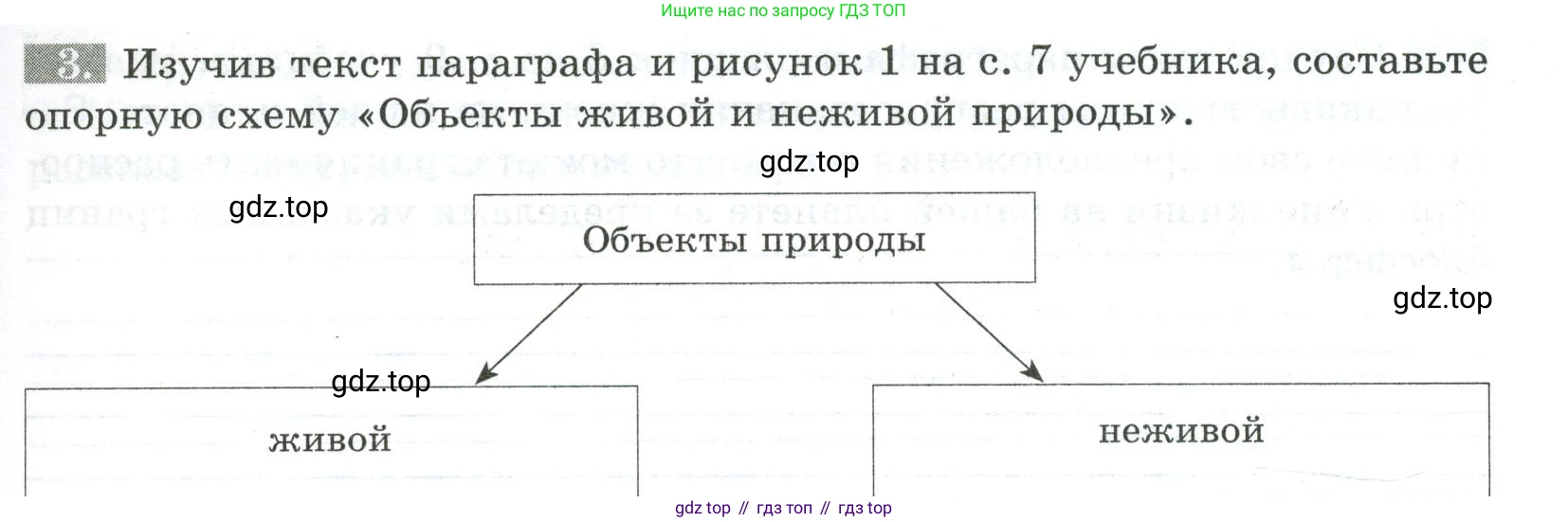 ГДЗ Биология, 5 класс рабочая тетрадь, авторы: Пасечник Владимир Васильевич, Суматохин Сергей Витальевич, Швецов Глеб Геннадьевич, Гапонюк Зоя Георгиевна, Косарькова Марина Викторовна, издательство Просвещение, Москва, 2023, оранжевого цвета, страница 5, номер 3, Условие