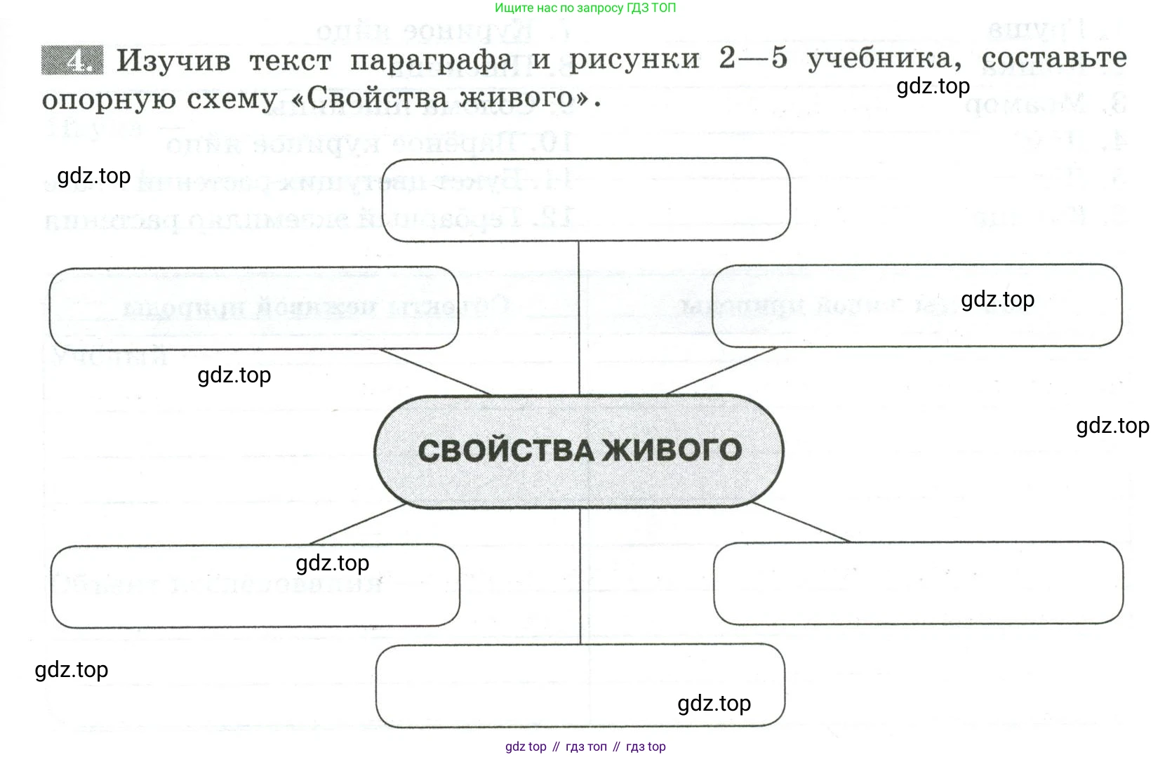 ГДЗ Биология, 5 класс рабочая тетрадь, авторы: Пасечник Владимир Васильевич, Суматохин Сергей Витальевич, Швецов Глеб Геннадьевич, Гапонюк Зоя Георгиевна, Косарькова Марина Викторовна, издательство Просвещение, Москва, 2023, оранжевого цвета, страница 5, номер 4, Условие