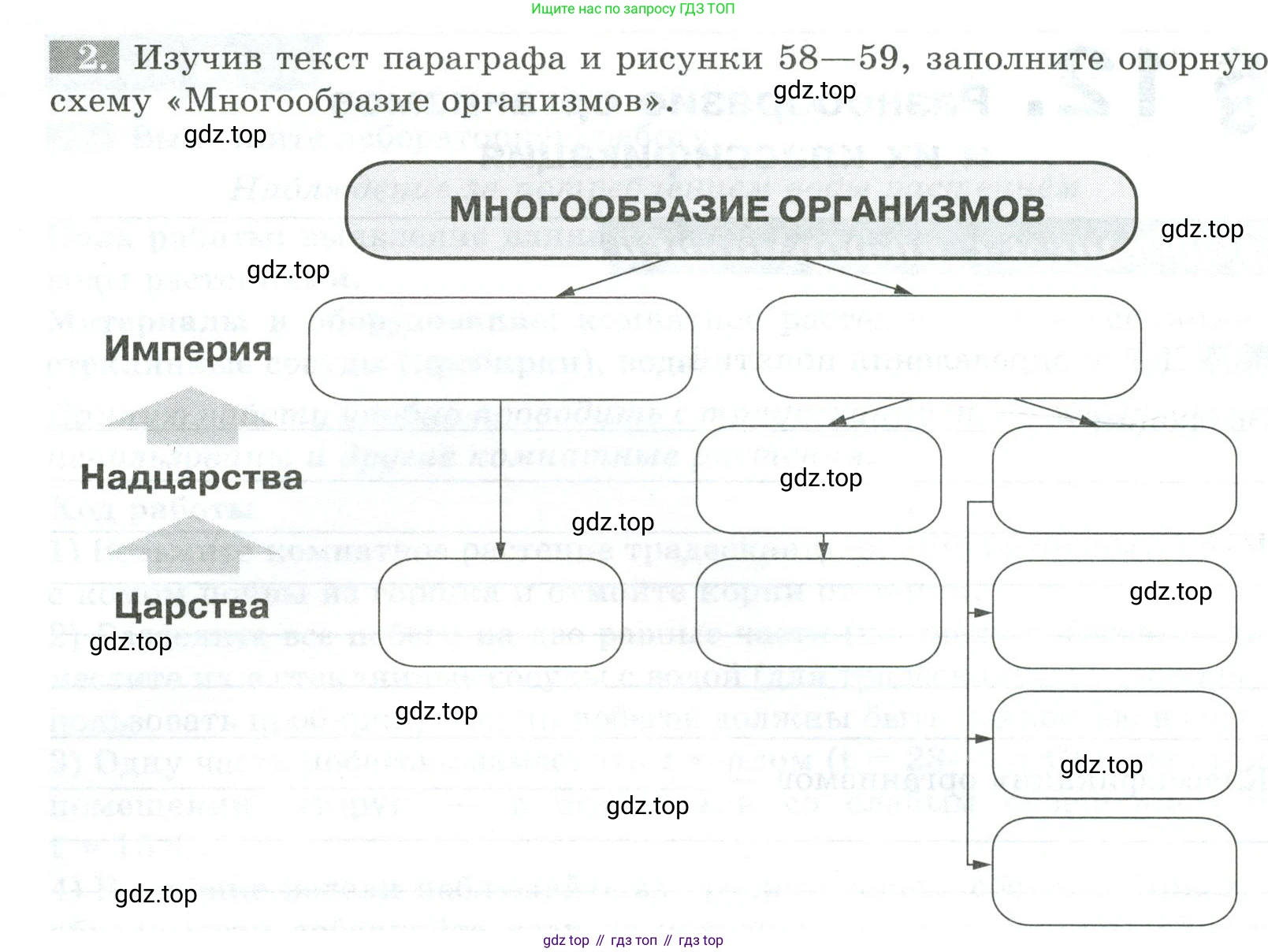 ГДЗ Биология, 5 класс рабочая тетрадь, авторы: Пасечник Владимир Васильевич, Суматохин Сергей Витальевич, Швецов Глеб Геннадьевич, Гапонюк Зоя Георгиевна, Косарькова Марина Викторовна, издательство Просвещение, Москва, 2023, оранжевого цвета, страница 52, номер 2, Условие