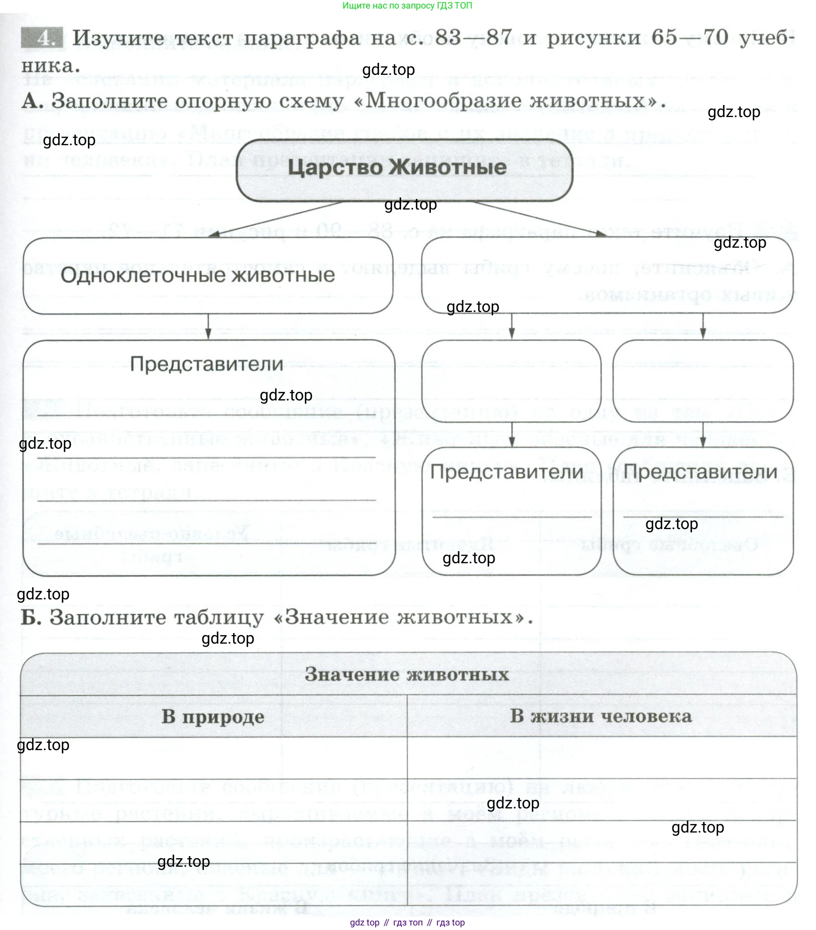 ГДЗ Биология, 5 класс рабочая тетрадь, авторы: Пасечник Владимир Васильевич, Суматохин Сергей Витальевич, Швецов Глеб Геннадьевич, Гапонюк Зоя Георгиевна, Косарькова Марина Викторовна, издательство Просвещение, Москва, 2023, оранжевого цвета, страница 55, номер 4, Условие
