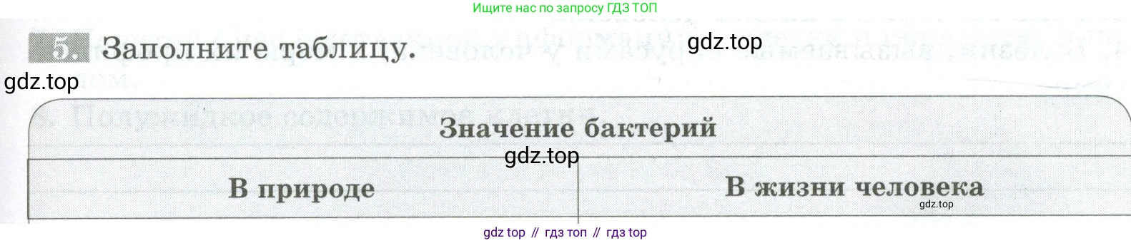 ГДЗ Биология, 5 класс рабочая тетрадь, авторы: Пасечник Владимир Васильевич, Суматохин Сергей Витальевич, Швецов Глеб Геннадьевич, Гапонюк Зоя Георгиевна, Косарькова Марина Викторовна, издательство Просвещение, Москва, 2023, оранжевого цвета, страница 59, номер 5, Условие