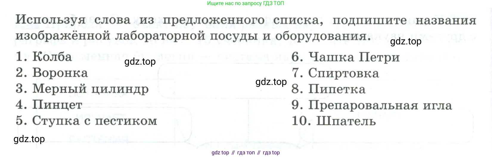 ГДЗ Биология, 5 класс рабочая тетрадь, авторы: Пасечник Владимир Васильевич, Суматохин Сергей Витальевич, Швецов Глеб Геннадьевич, Гапонюк Зоя Георгиевна, Косарькова Марина Викторовна, издательство Просвещение, Москва, 2023, оранжевого цвета, страница 9, номер 4, Условие (продолжение 2)