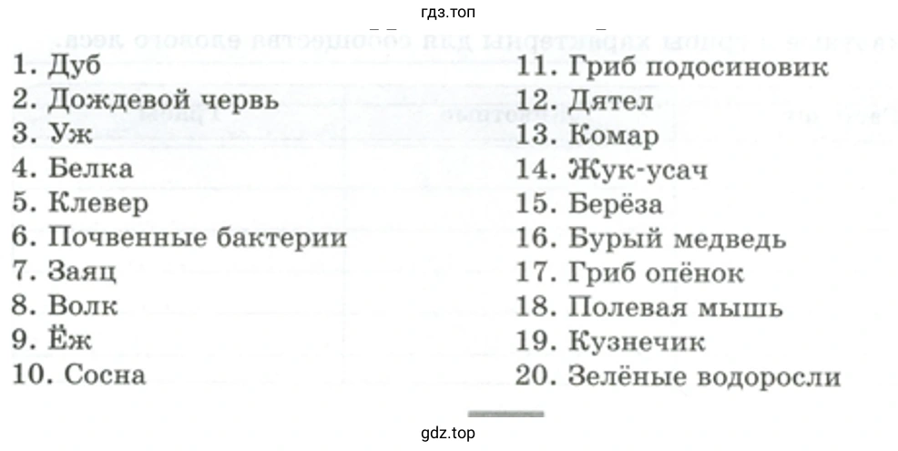 Организмы продуценты - биология 5 класс Пасечник Рабочая тетрадь