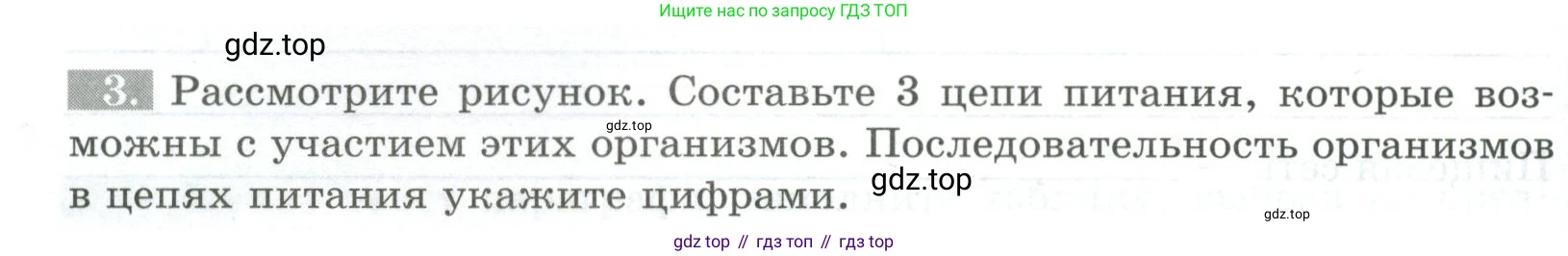 ГДЗ Биология, 5 класс рабочая тетрадь, авторы: Пасечник Владимир Васильевич, Суматохин Сергей Витальевич, Швецов Глеб Геннадьевич, Гапонюк Зоя Георгиевна, Косарькова Марина Викторовна, издательство Просвещение, Москва, 2023, оранжевого цвета, страница 90, номер 3, Условие