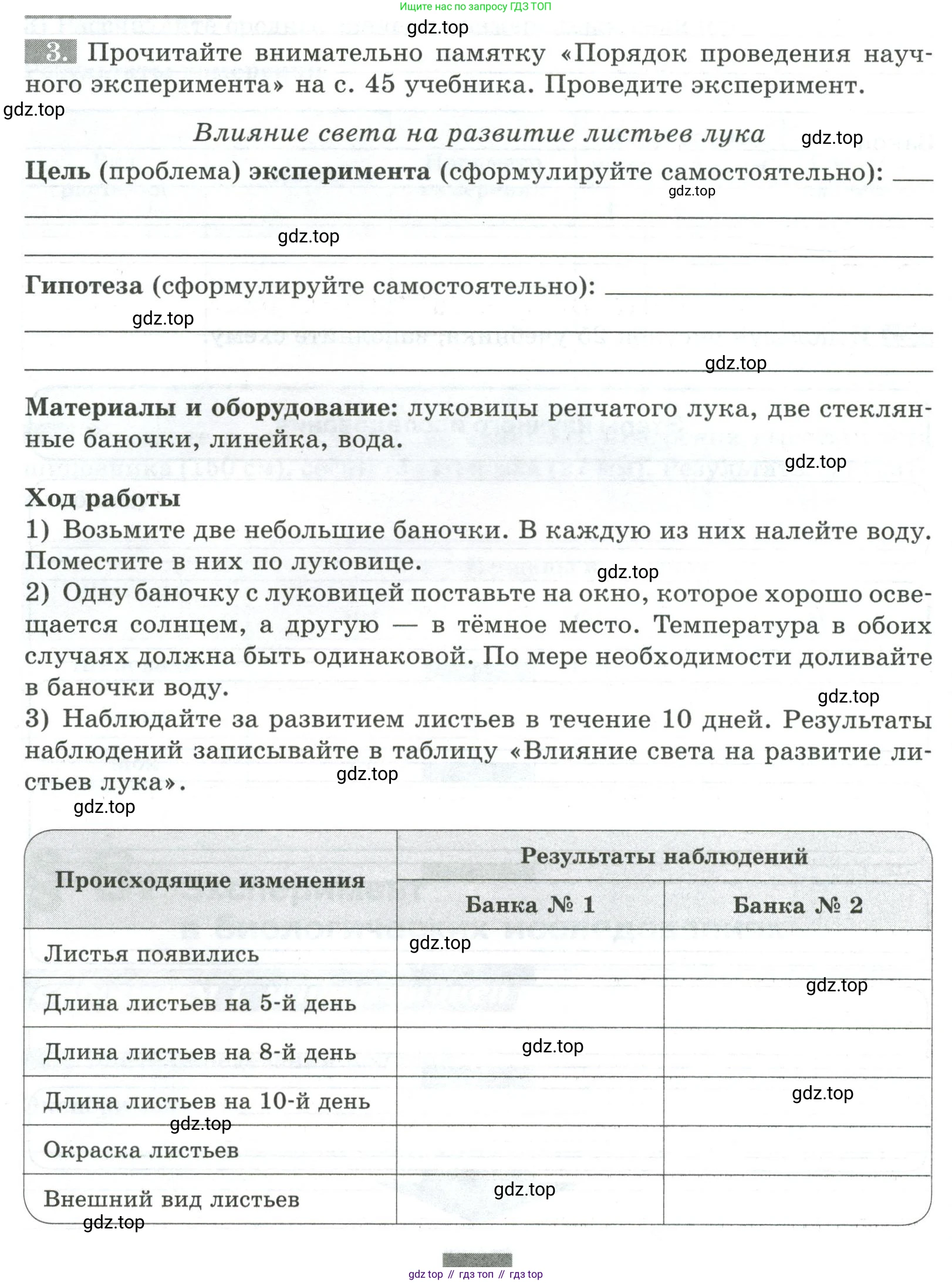 ГДЗ Биология, 5 класс рабочая тетрадь, авторы: Пасечник Владимир Васильевич, Суматохин Сергей Витальевич, Швецов Глеб Геннадьевич, Гапонюк Зоя Георгиевна, Косарькова Марина Викторовна, издательство Просвещение, Москва, 2023, оранжевого цвета, страница 28, номер 3, Условие