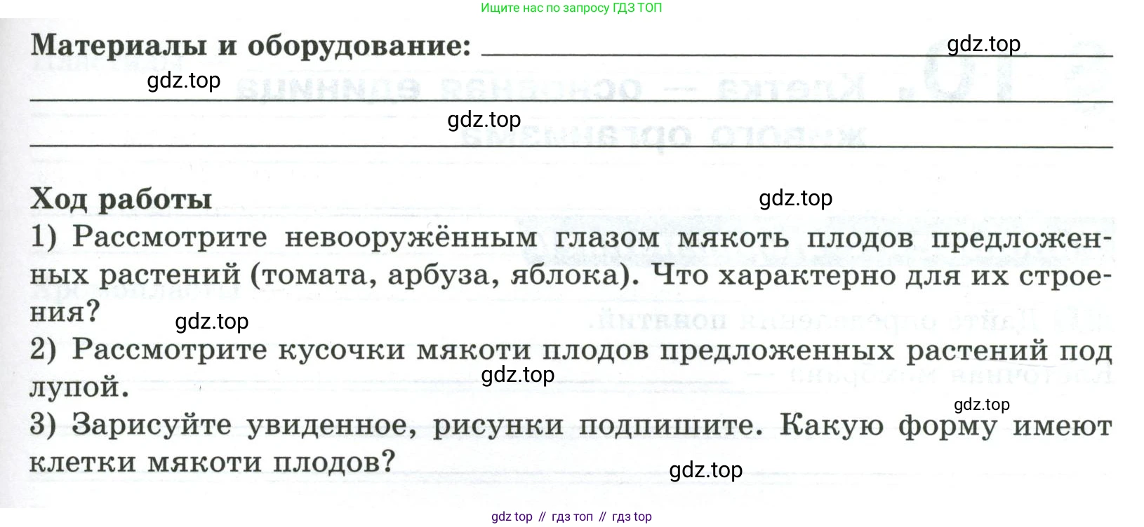 ГДЗ Биология, 5 класс рабочая тетрадь, авторы: Пасечник Владимир Васильевич, Суматохин Сергей Витальевич, Швецов Глеб Геннадьевич, Гапонюк Зоя Георгиевна, Косарькова Марина Викторовна, издательство Просвещение, Москва, 2023, оранжевого цвета, страница 42, номер 6, Условие (продолжение 2)
