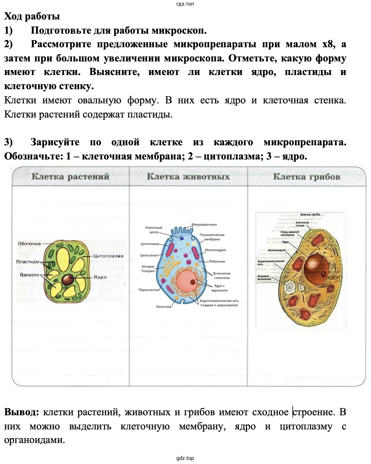 Объекты живой и неживой природы - биология 5 класс Пасечник Рабочая тетрадь