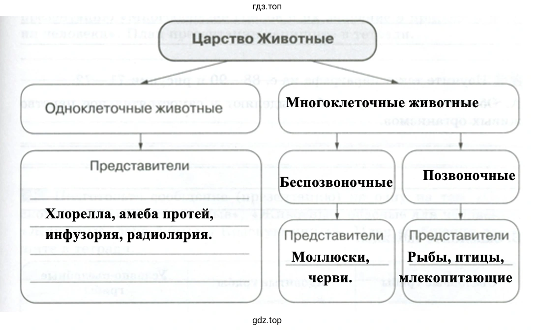 Царство Животные - биология 5 класс Пасечник Рабочая тетрадь
