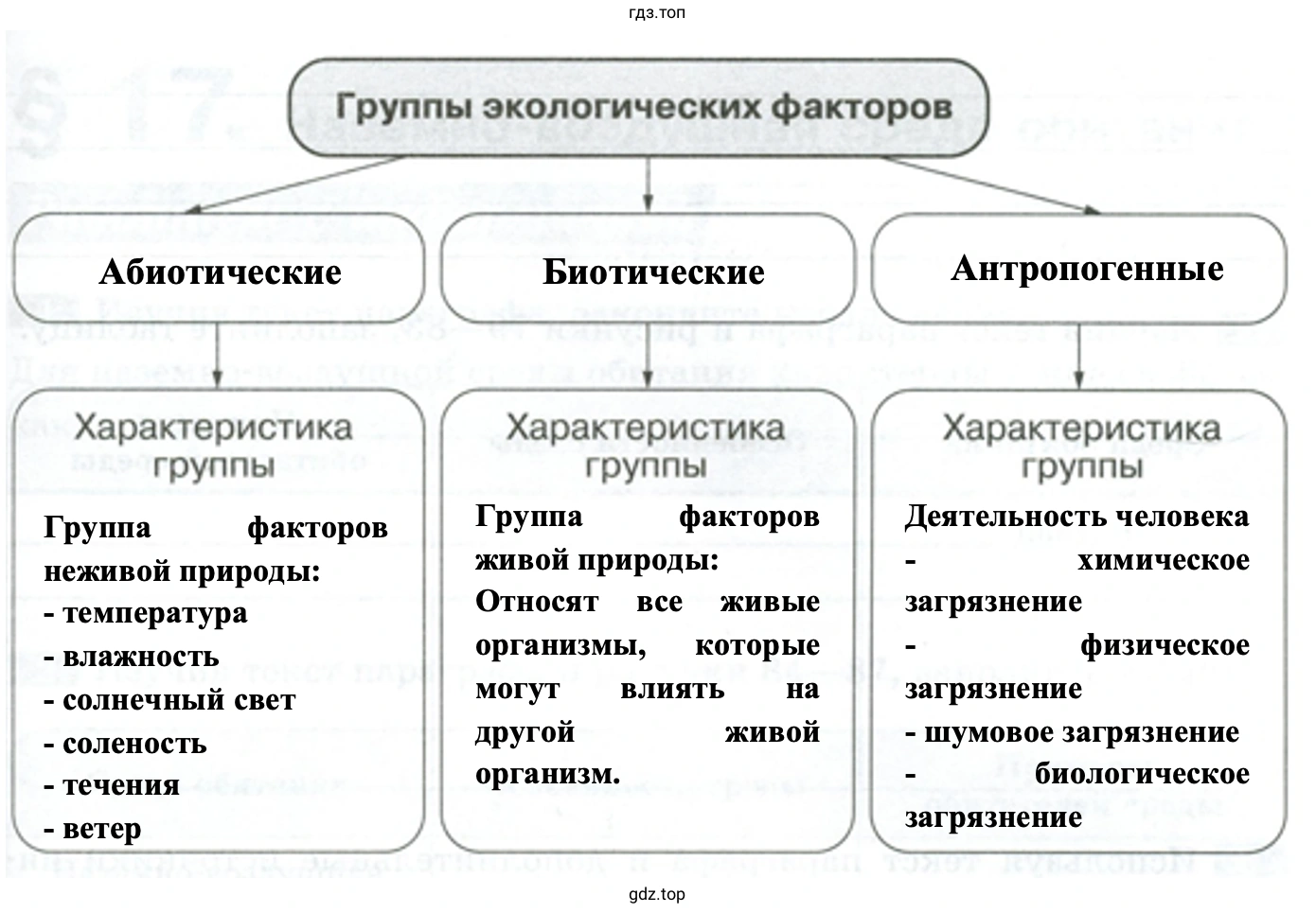 Группы экологических факторов - биология 5 класс Пасечник Рабочая тетрадь