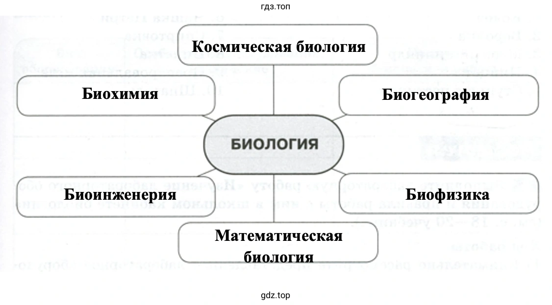Связь биологии с другими науками