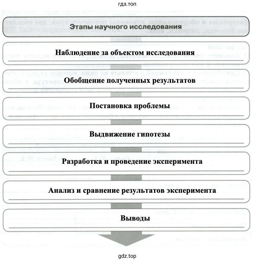 Этапы научного исследования - биология 5 класс Пасечник Рабочая тетрадь