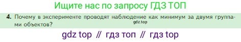 Биология, 5 класс Учебник, авторы: Пасечник Владимир Васильевич, Суматохин Сергей Витальевич, Гапонюк Зоя Георгиевна, Швецов Глеб Геннадьевич, издательство Просвещение, Москва, 2023, белого цвета, страница 42, номер 4, Условие