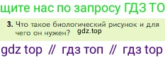 Биология, 5 класс Учебник, авторы: Пасечник Владимир Васильевич, Суматохин Сергей Витальевич, Гапонюк Зоя Георгиевна, Швецов Глеб Геннадьевич, издательство Просвещение, Москва, 2023, белого цвета, страница 46, номер 3, Условие